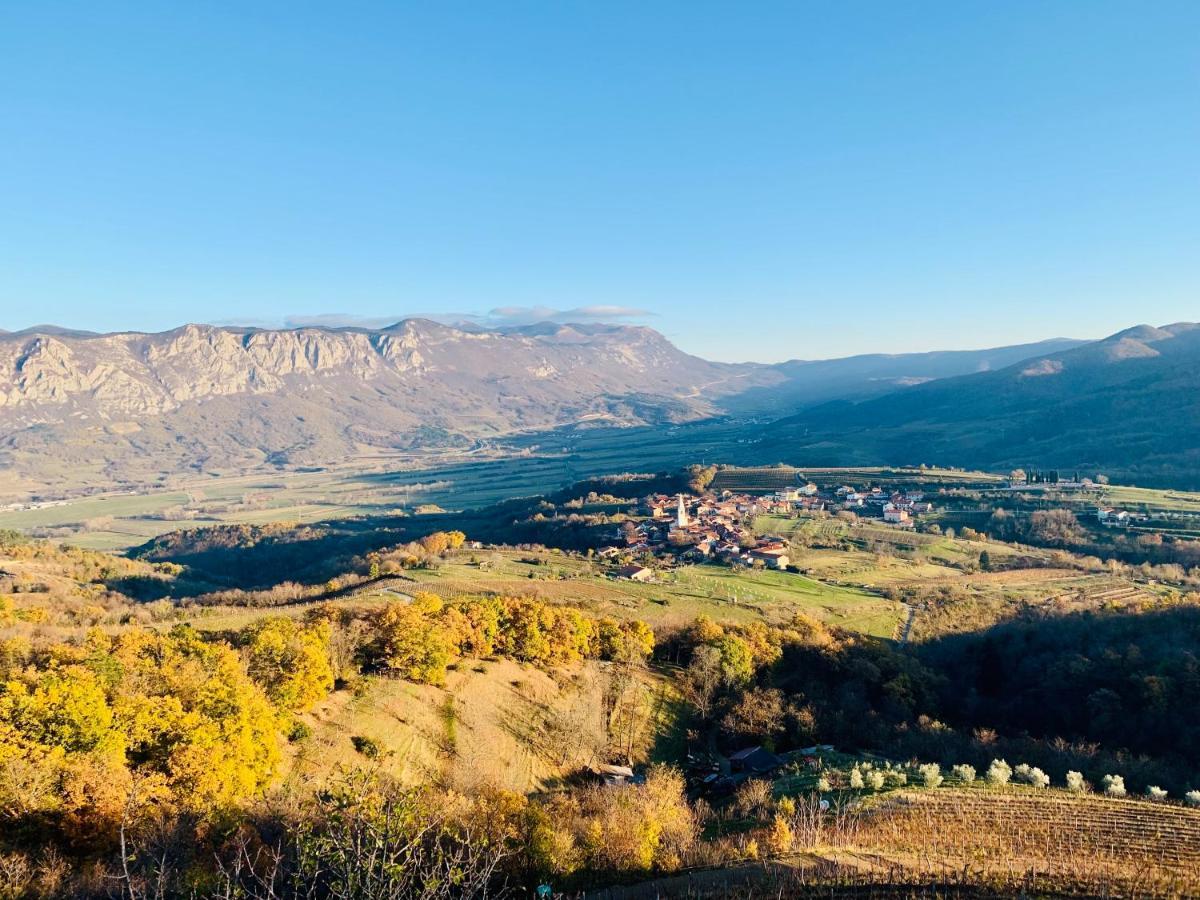 Samson And The Lilo Apartment Vipava Exterior photo